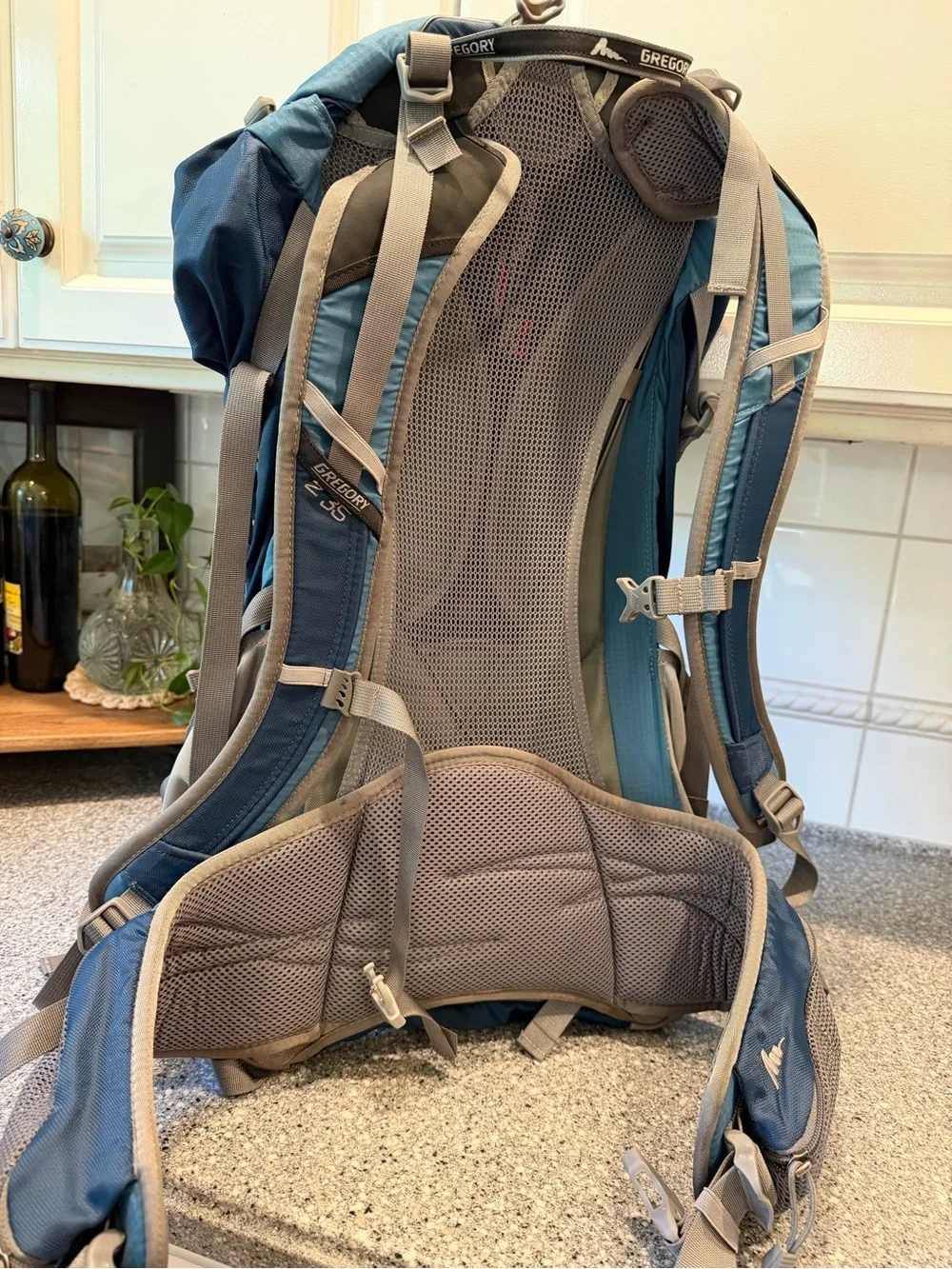Gregory Teal and Navy Travel Backpack Z35